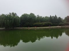 -团结湖公园