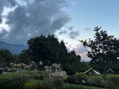 -云禾壹海景庄园餐厅