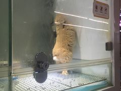 -宝鸡东道花鸟鱼虫市场(吉利花园商场店)