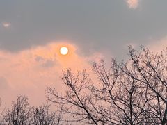 -祥源·阜阳生态乐园