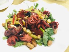 芥末捞八爪鱼-云腾砂锅粥(龙津东路店)