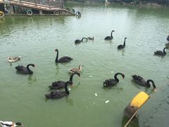 -无锡动物园·太湖欢乐园