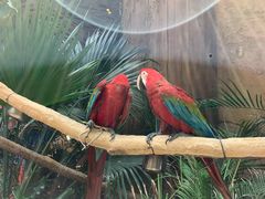 -杭州开元森泊度假乐园