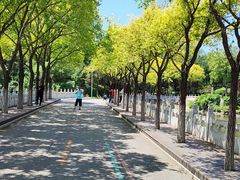 -北宫国家森林公园