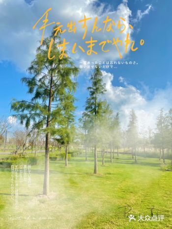 秋日限定｜句容小瑞士仙境 伏热花海