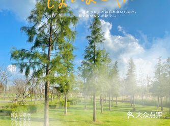 秋日限定｜句容小瑞士仙境 伏热花海