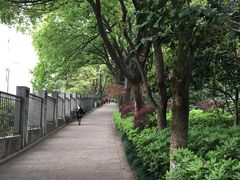 -杭州半山国家森林公园