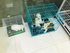 -FAELING PETS美天灵宠物(富力广场店)