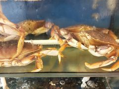 -渔中舟海鲜大排档(普陀沈家门店)