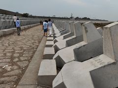 -南汇嘴观海公园