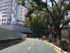 -孺子亭公园