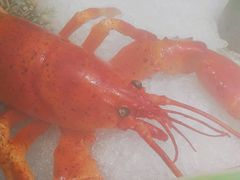 -上清·三文鱼鲜寿司(同德店)