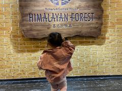-喜马拉雅森HIMALAYAN FOREST