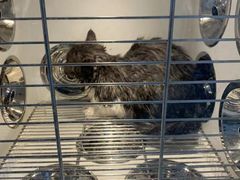 -佳雯宠物医院(金华南路分院)