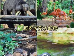 -长鹿旅游休博园