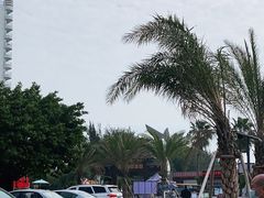 -北海金海湾红树林生态旅游区