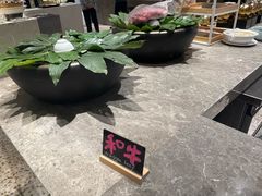 -太湖饭店玉兰厅(自助餐厅)