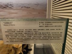 -北京大学赛克勒考古与艺术博物馆