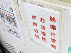 -洪馨椰子