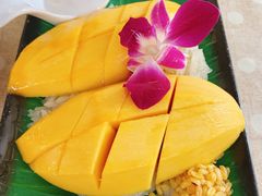 -Jungle Kitchen