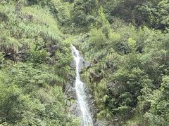 -大奇山国家森林公园