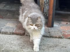 -老屋咖啡