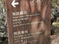 -千岛湖石林