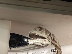 -自贡恐龙博物馆