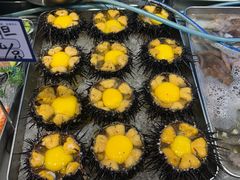 -日月昇渔家菜·海肠捞饭·大连海鲜(星海公园店)