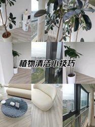 -HEYAN荷妍专业脱毛连锁机构