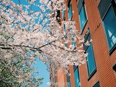 -浙江大学玉泉校区一食堂