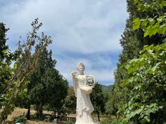 -北京西山国家森林公园