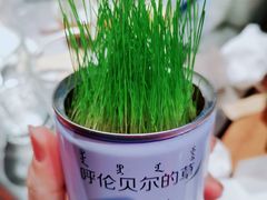 柠檬薄荷水-很久以前羊肉串(大华三路店)