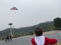 -飞凤山奥体公园