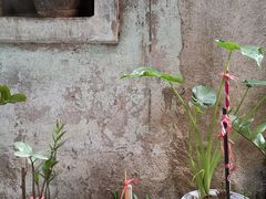 -下环街市熟食中心