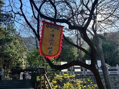 -千佛山风景名胜区