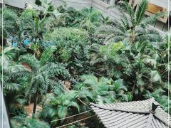 -黑龙江中医药大学