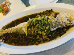 -上海明天广场JW万豪酒店