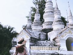 -岩保农家乐