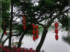 -荔湾湖公园