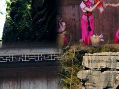 -梭布垭石林景区