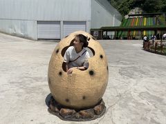 -梦幻奥陶纪景区