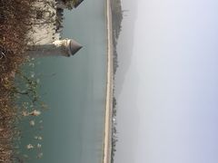 -江南天池