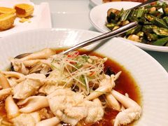 油泼烟台大鸟贝-新海渔港·胶东海鲜家常菜·家宴(奥体中心店)