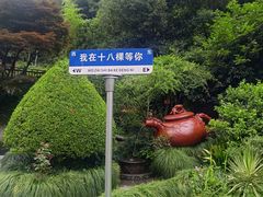 -十八棵（老龙井）御茶园(老龙井店)