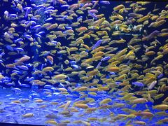 -成都浩海立方海洋公园