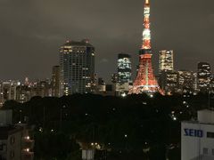 -东京塔海贼王主题公园
