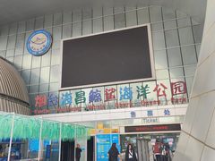 -烟台海昌鲸鲨海洋公园