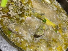 -石锅苗苗鱼(武汉首店)