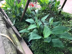 -楠柏弯休闲山庄(梨花溪店)